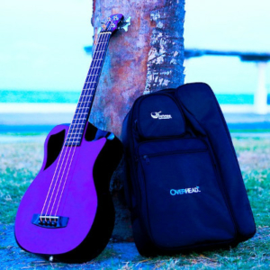 Overhead Collapsible Travel Basses